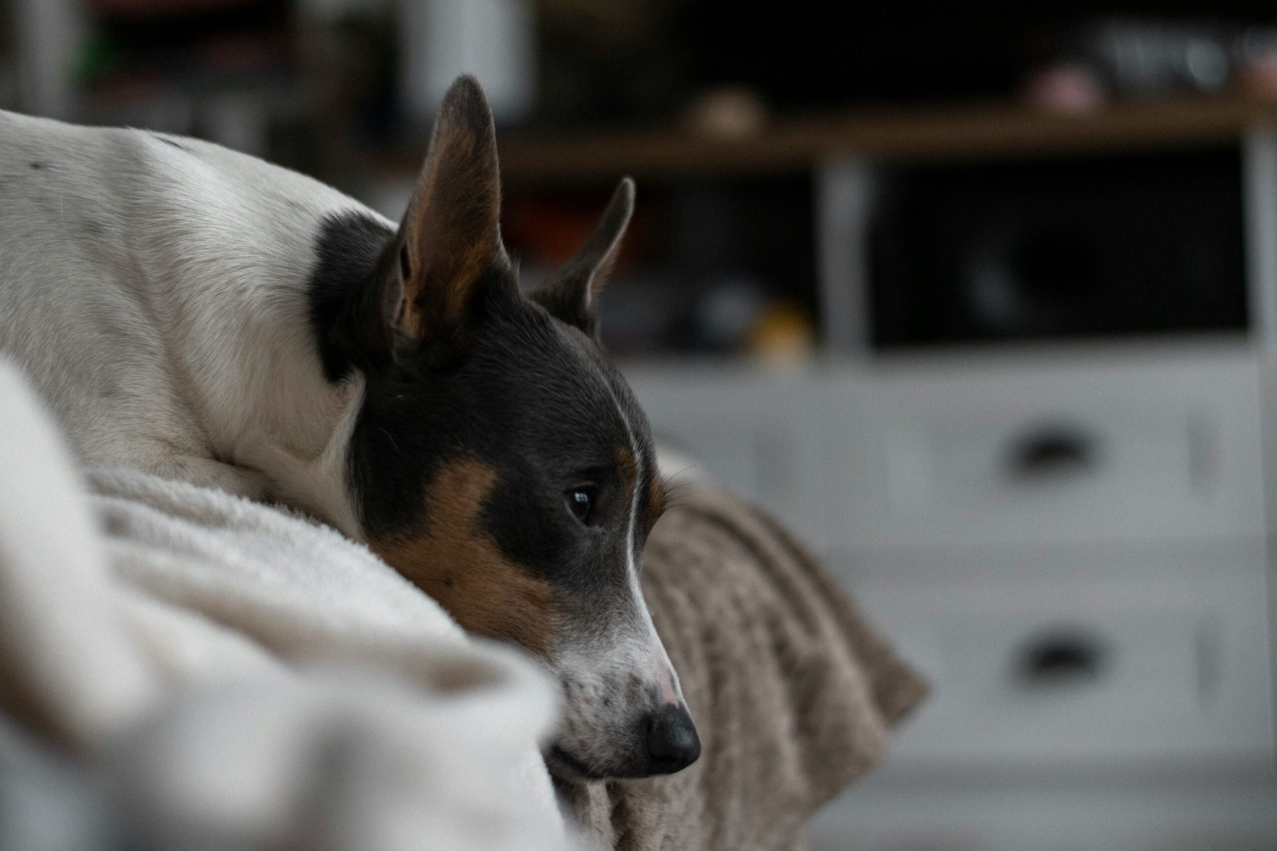 Kun erillään oleminen ahdistaa