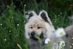 jaclou-dl-jDdoUxDTEgo-unsplash